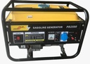 Portable Generator Plus Power 2KW